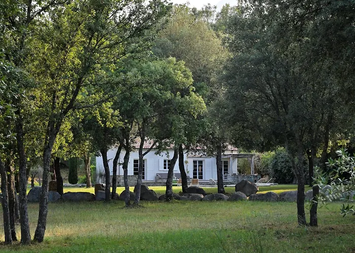 Domaine De Bracciole